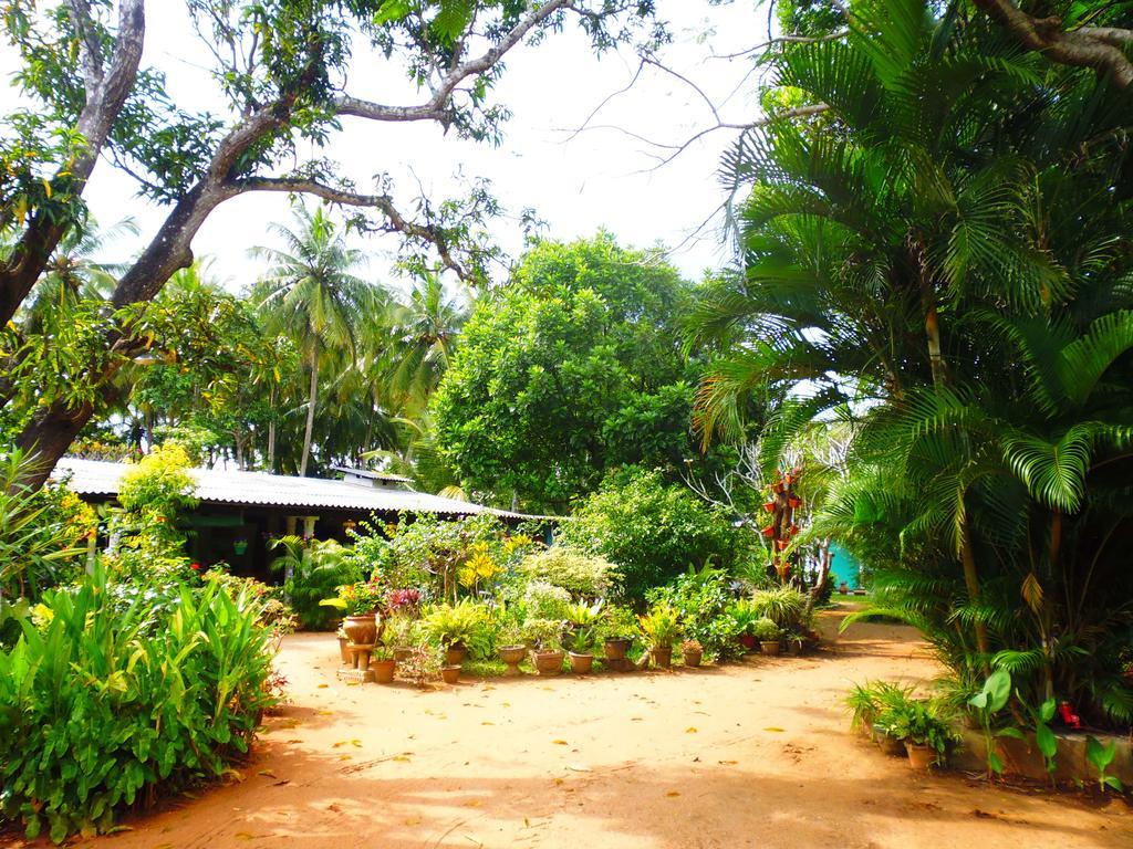 The Nilmini Lodge Sigiriya Exterior photo